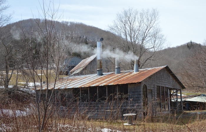 Cape Breton Maple Syrup bottled