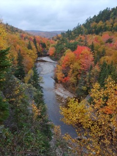 Autumn colours